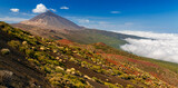 Volcano Teide and Orotava Valley - view from Mirador La Crucita (Tenerife, Canary Islands) 