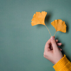 Wall Mural - Hand holding  autumn leaves. Autumn card. Thanksgiving and Halloween postcard template. Space for text