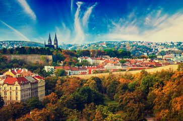 Wall Mural - View to the Vysegrad