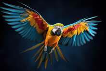Beautiful Parrot In Front Of A Black Background (AI Generated) 