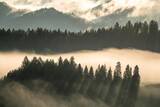 Fototapeta Krajobraz - we mgle