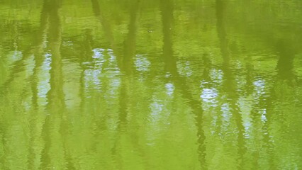 Wall Mural - Water and reflections in the Urbel river in the surroundings of the Cuevas de Valdegoba near Huérmeces. World geological heritage UNESCO. Las Loras Geopark. Burgos. Castile and Leon. Spain. Europe