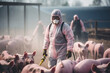 person fumigating pig farm with personal protective suit