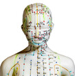 Mannequin with acupuncture meridians on transparent background.