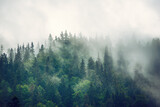 Fototapeta Krajobraz - Misty mountain landscape