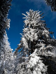 Sticker - a beautiful snowy landscape in the Alps in France