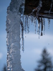 Sticker - Shot of a branch blanketed in snow, with chunks of frozen ice cascading off of it