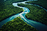 Fototapeta Na ścianę - Aerial view of river in tropical green forest with mountains in background