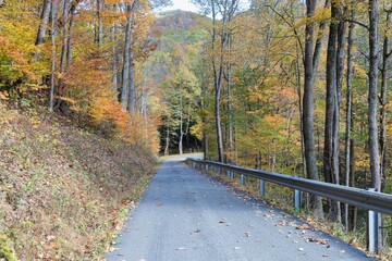 Poster - Scenic view of West Virginia country road on a beautiful fall day