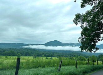 Wall Mural - Rural meadow landscape in the Great Smoky Mountains under a cloudy sky