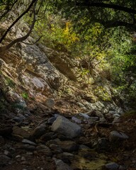 Poster - Scenic view of a forested mountain side featuring a rocky path, Angeles forest