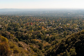 Wall Mural - Scenic view of Los Angeles in the backdrop of Angeles forest