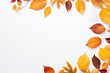 frame of autumn leaves on white background with copy space