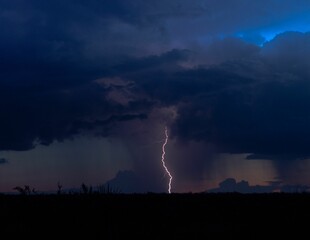 Wall Mural - Solitary lightening bolt at night