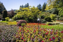 Decorative And Colorful Gardens In Butchart Gardens