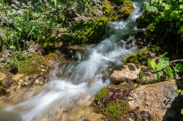 Sticker - Closeup shot of a flowing splashing stream on rocks in a forest