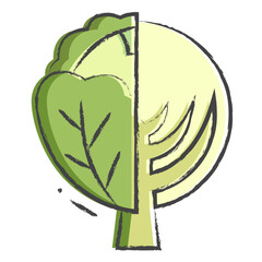 Wall Mural - Hand drawn Cabbage slice icon