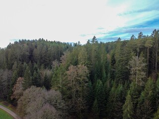 Bird's-eye view of a dense forest under a cloudy sky