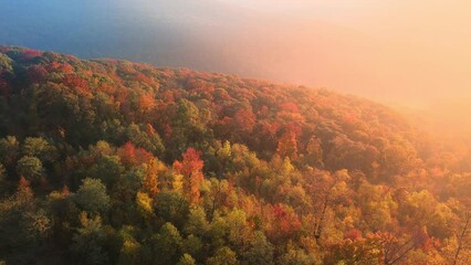 Wall Mural - Foggy sunrise drone aerial over autumn Arkansas ozark mountains with colorful fall forest trees
