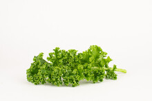 Fresh Green Curly Kale Leaf