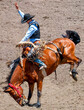 A rodeo cowboy is riding a bucking bronco. He is in an arena with dirt flying from the kicking horse.  The cowboy is wearing a black vest and blue shirt.