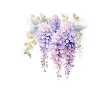 Wisteria Watercolor Flowers. Vector Illustration Design.