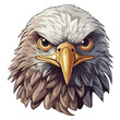 Minimalist Cartoon-Style Eagle Mascot Head in Color