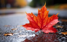 CloseUp Of Autumn Maple Leaf On Rain Drenched Road Background. Generative AI