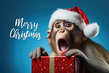 Adorable Young Monkey Surprised, Wearing A Christmas Hat. Holding A Christmas Present. Posing On Blue Background, Funny Looking. Celebrating Christmas Concept With Merry Christmas Text