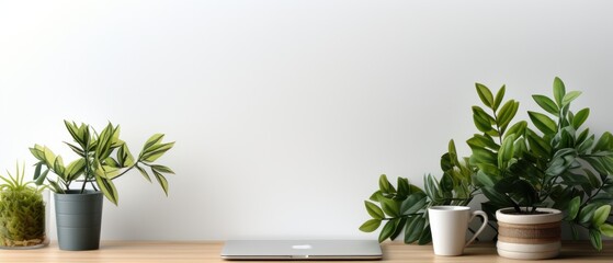 Poster - Workspace with laptop computer and potted plants on wood table.