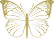 Butterfly Gold Glitter