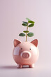 Piggy bank with money plant