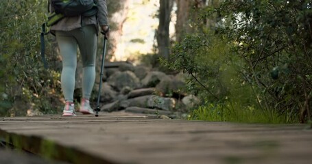 Canvas Print - Legs, hiking stick and walking on bridge, nature or forest in adventure, journey or travel. Shoes, trekking and person in woods, park and outdoor to exercise for healthy body, wellness and fitness