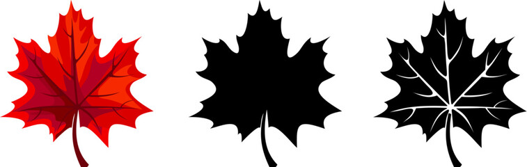 Wall Mural - maple leaves. autumn red maple leaf and black silhouettes of maple leaves isolated on a white backgr
