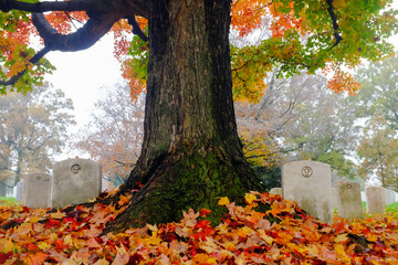 Arlington National Cemetery - Washington D.C. United States of America
