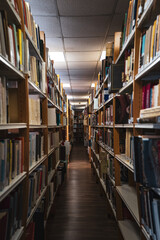 library shelves with books