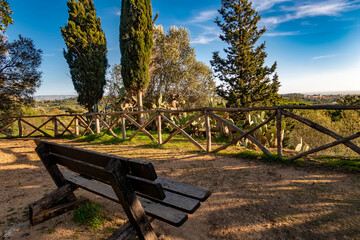 Poster - wooden bench near the beautiful tree for rest in the valley of temples, Agrigento, Sicily