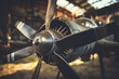 © Fabio - Vintage Military Aircraft Propeller