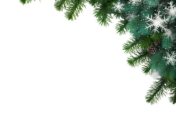 Wall Mural - border of isolated green Christmas tree branches at the edge on transparent background with sparkling white snowflakes on white background with copy space PNG