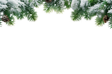 Wall Mural - border of isolated green Christmas tree branches at the edge on transparent background with sparkling white snowflakes on white background with copy space PNG