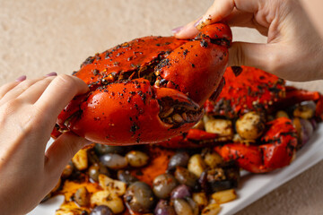 Wall Mural - Black Pepper Crab (Indonesia : Kepiting Lada Hitam)