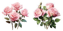 Pink Roses With Leaves On A Transparent Background