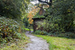 Hampstead heath path leads in to woods past an abandoned building