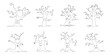 © dwara - Set of Line art halloween trees.  Halloween Elements and Objects for Design Projects.