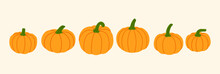 Autumn Orange Vector Pumpkins Illustration Banner, Pumpkin Decoration, Autumn Fruits, Thanksgiving