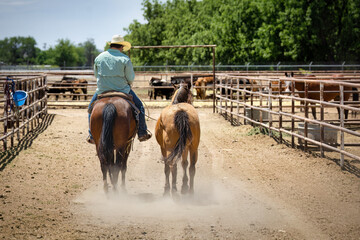 Wall Mural - Conutillo Cowboy