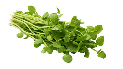 Wall Mural - Fresh organic vegetable watercress on transparent background. vegetable watercress png