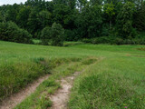 Fototapeta Natura - gravel country road in green summer fields