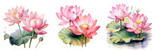 Watercolor Painting Of Pink Lotus Flowers For Greeting Cards Or Wedding Invitations