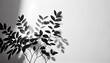 © Trendy Image Two - Minimalistic light background with blurred foliage shadow on a white wall, Ai generated image